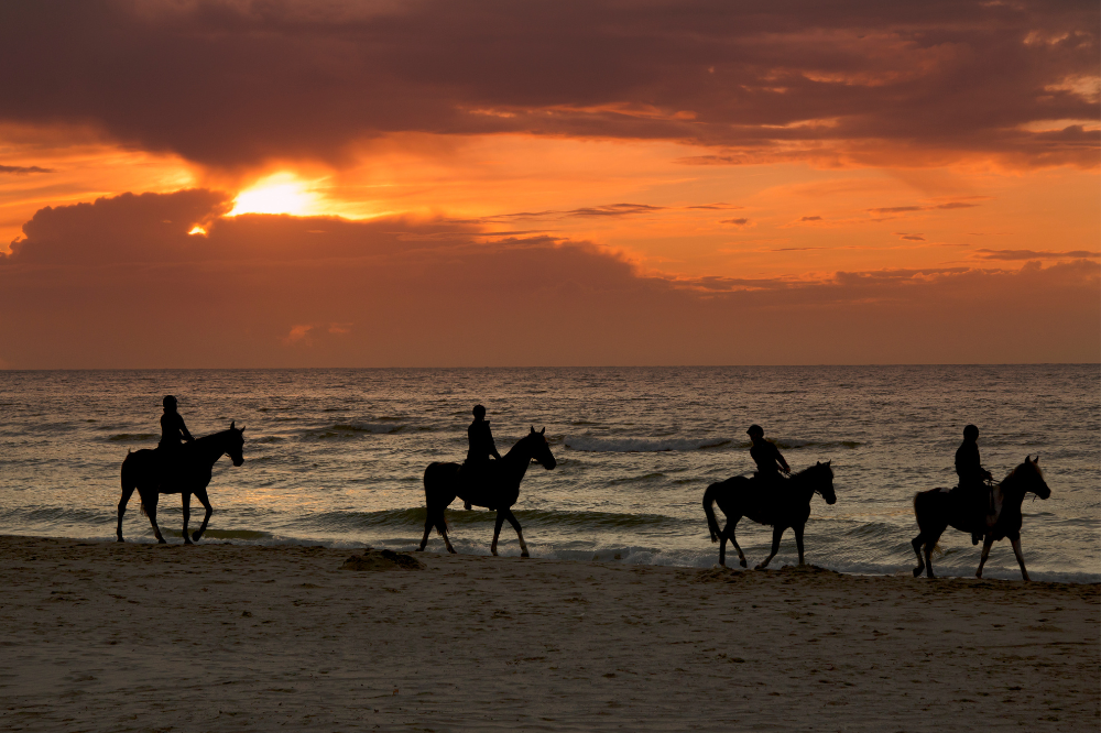 horseback riding on the beach